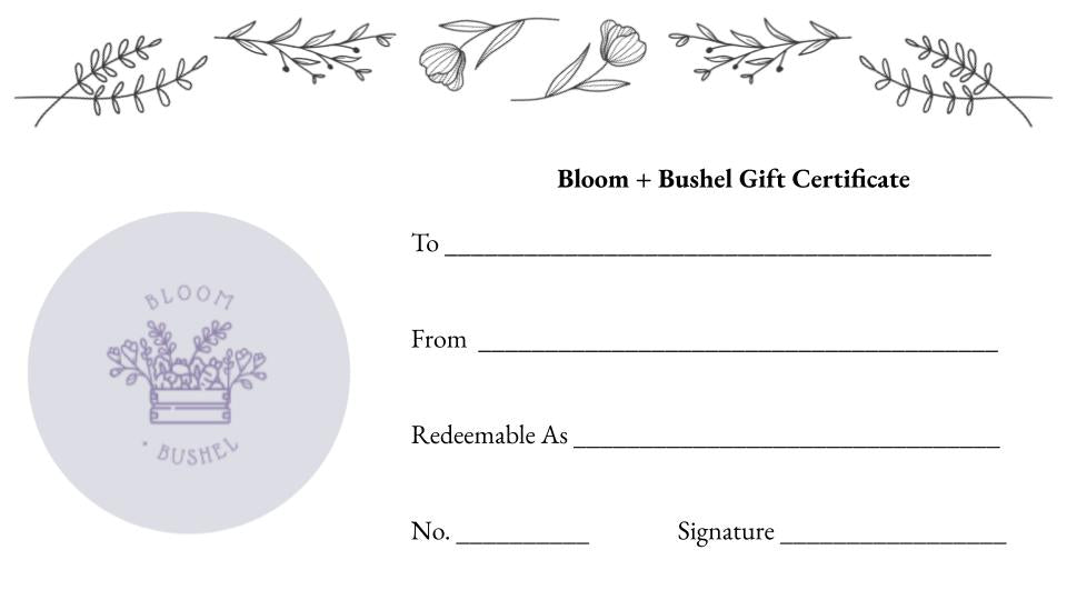 Gift Certificate