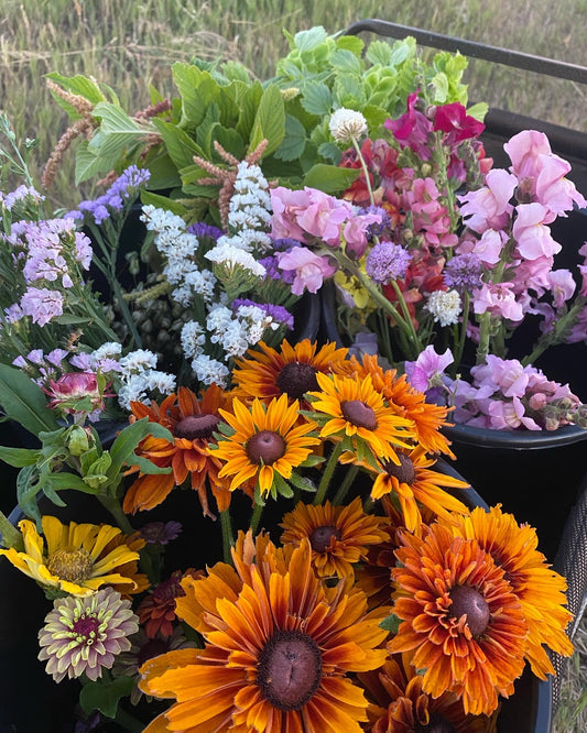 Bucket of Blooms
