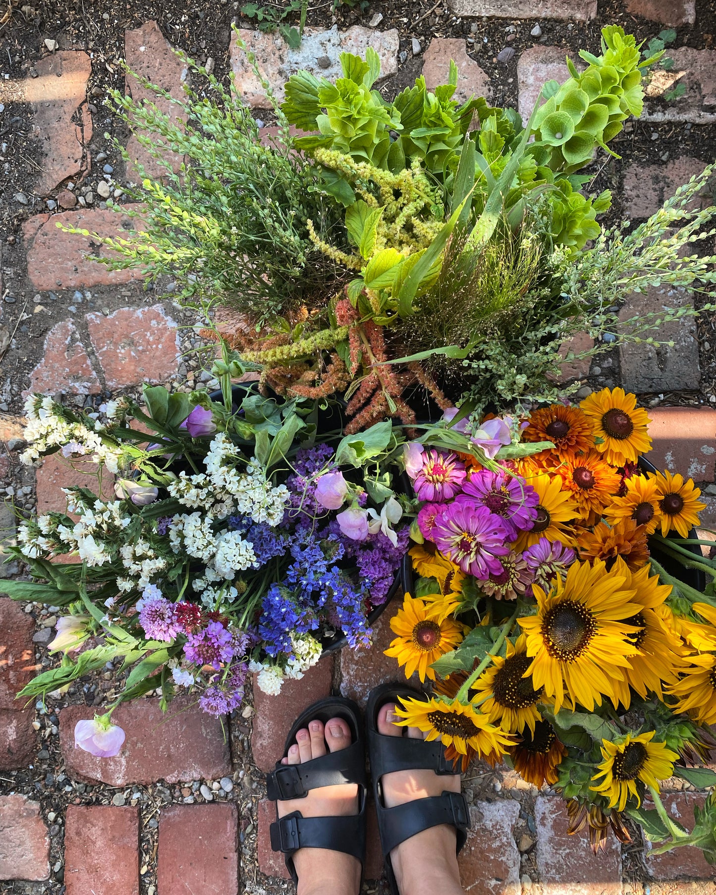 Bucket of Blooms