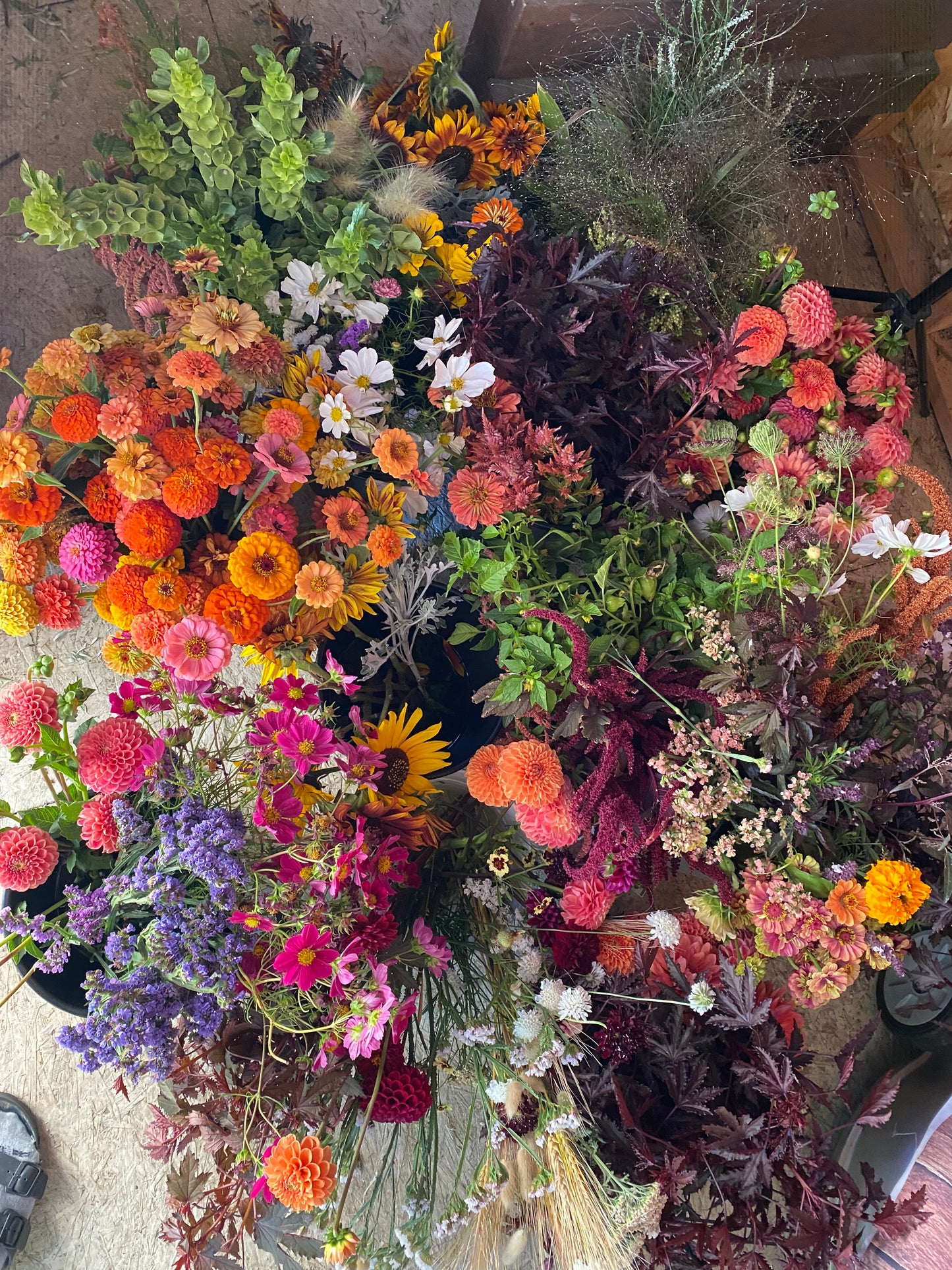 Bucket of Blooms