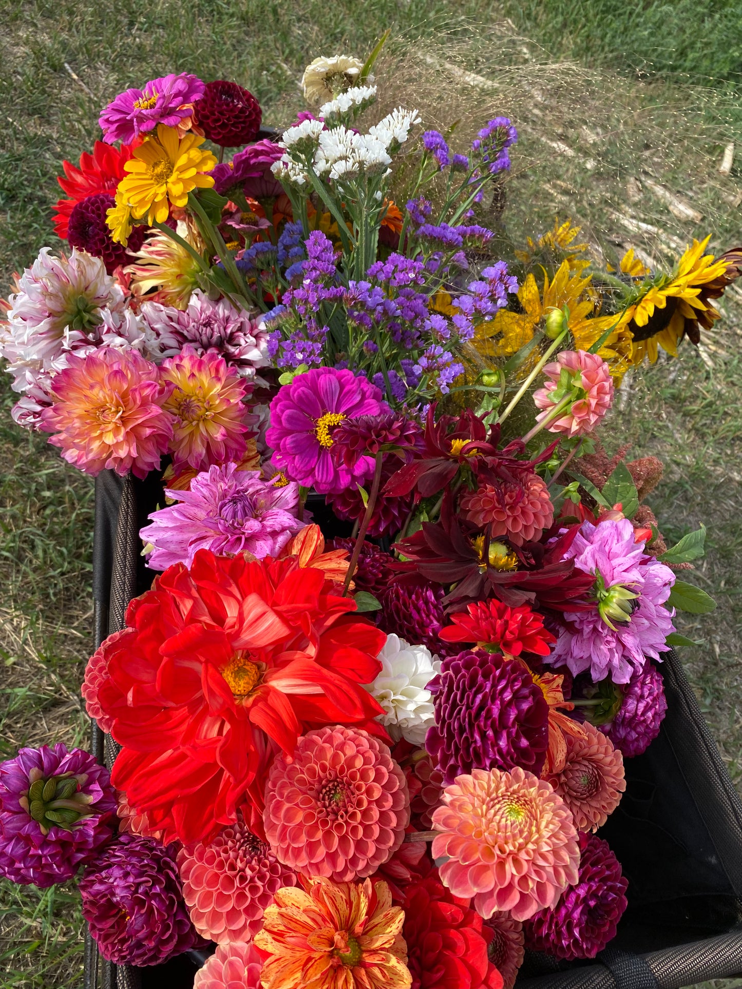 Bucket of Blooms