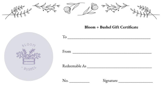 Gift Certificate
